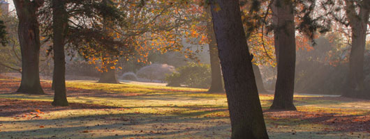 手机号群发平台